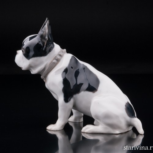 Французский бульдог, Heubach, Германия, нач. 20 в