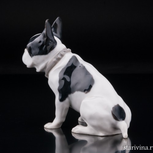 Французский бульдог, Heubach, Германия, нач. 20 в