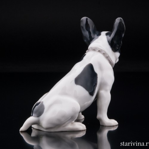 Французский бульдог, Heubach, Германия, нач. 20 в