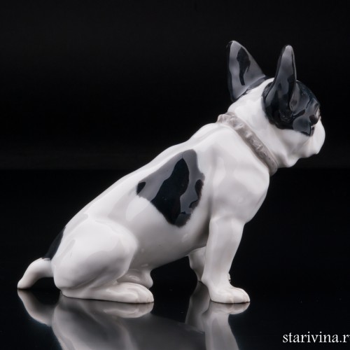 Французский бульдог, Heubach, Германия, нач. 20 в