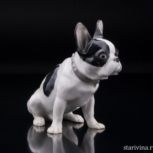 Французский бульдог, Heubach, Германия, нач. 20 в