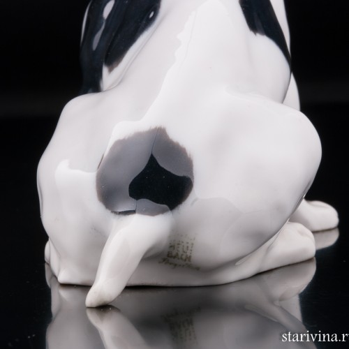 Французский бульдог, Heubach, Германия, нач. 20 в