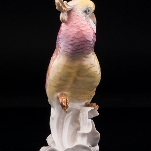 Розовый попугай какаду на кукурузном початке, Karl Ens, Германия, 1920-30 гг