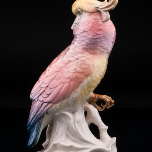 Розовый попугай какаду на кукурузном початке, Karl Ens, Германия, 1920-30 гг