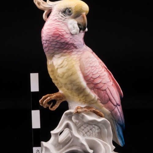 Розовый попугай какаду на кукурузном початке, Karl Ens, Германия, 1920-30 гг