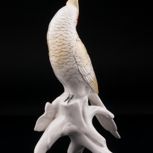 Попугай корелла, Karl Ens, Германия