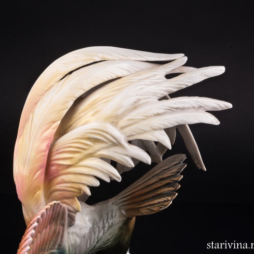 Райская птица, Karl Ens, Германия, 1940-50 гг