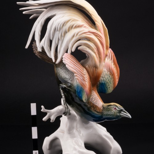 Райская птица, Karl Ens, Германия, 1940-50 гг