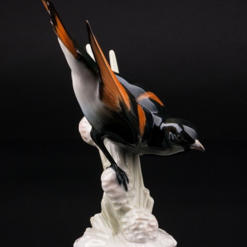 Статуэтка птицы Американская горихвостка, Hutschenreuther, Германия, 1970 гг.