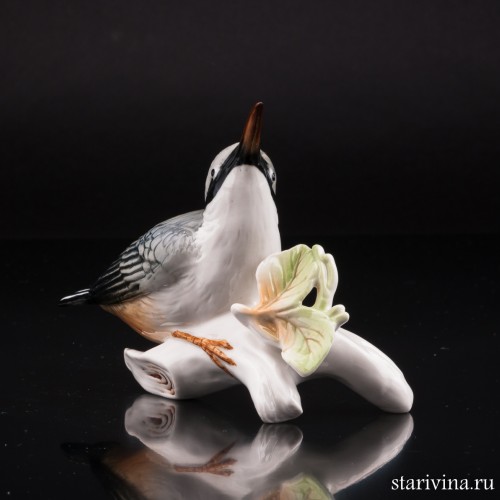 Поползень, Karl Ens, Германия