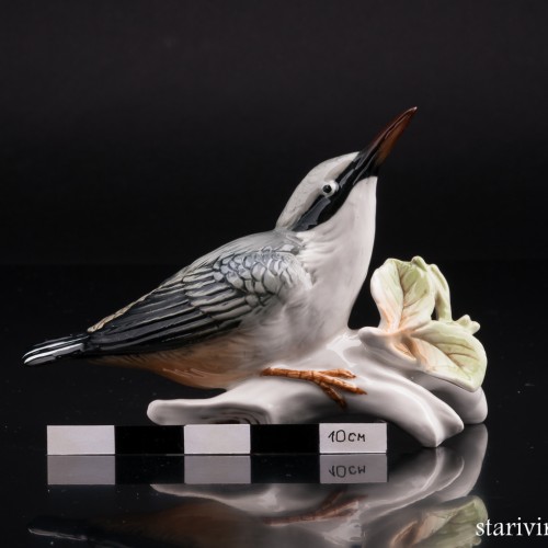 Поползень, Karl Ens, Германия