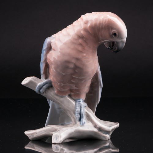 Попугай жако, Bing & Grondahl, Дания