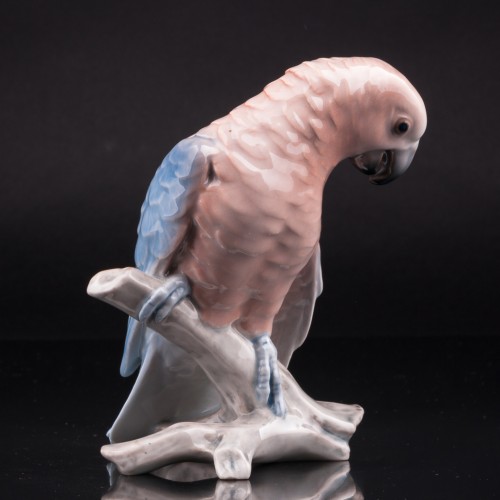 Попугай жако, Bing & Grondahl, Дания