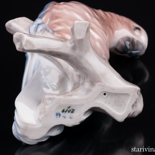 Попугай жако, Bing & Grondahl, Дания