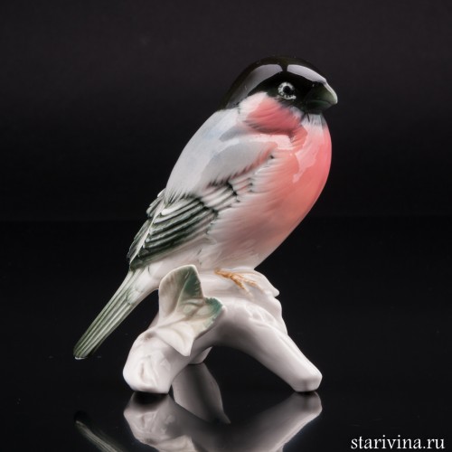 Снегирь, Karl Ens, Германия