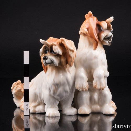 Две болонки, Karl Ens, Германия, 1920-30 гг