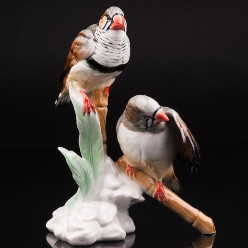 Две амадины, Karl Ens, Германия