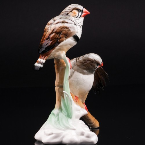 Две амадины, Karl Ens, Германия