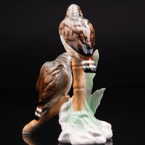 Две амадины, Karl Ens, Германия