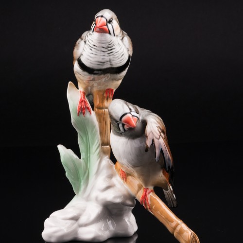 Две амадины, Karl Ens, Германия