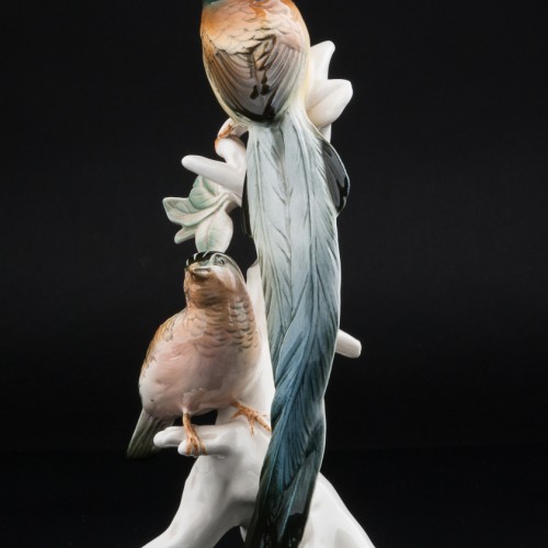 Райские птицы, Karl Ens, Германия, 1950 гг