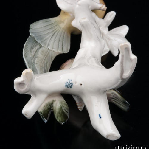 Райские птицы, Karl Ens, Германия, 1950 гг