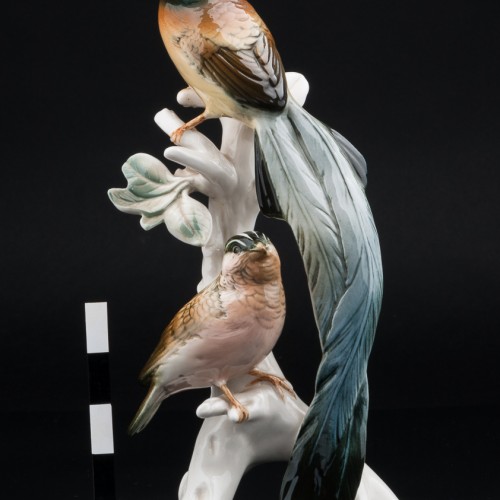 Райские птицы, Karl Ens, Германия, 1950 гг