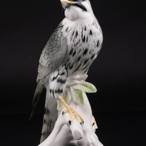 Сокол сапсан, Karl Ens, Германия