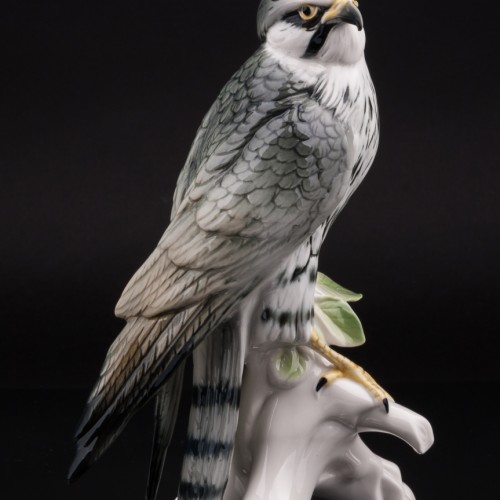 Сокол сапсан, Karl Ens, Германия