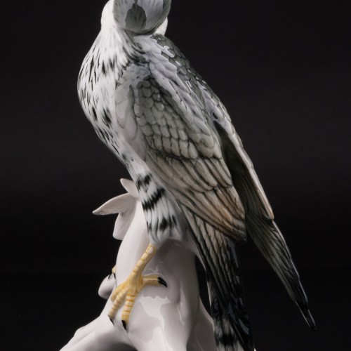 Сокол сапсан, Karl Ens, Германия