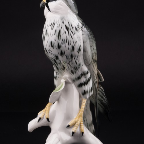 Сокол сапсан, Karl Ens, Германия