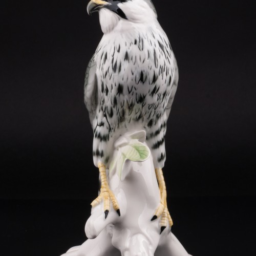 Сокол сапсан, Karl Ens, Германия