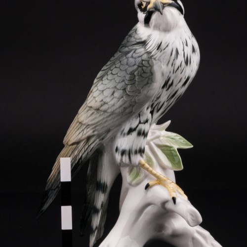 Сокол сапсан, Karl Ens, Германия