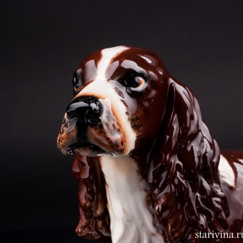 Кокер-спаниель, Goebel, Германия, 1973 г