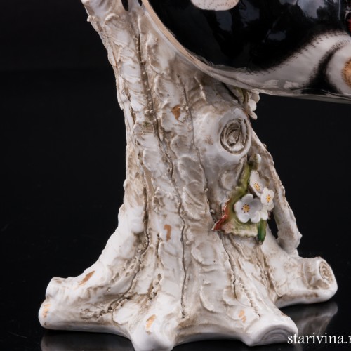 Пестрый дятел, Sitzendorf, Германия, 1887-1900 гг