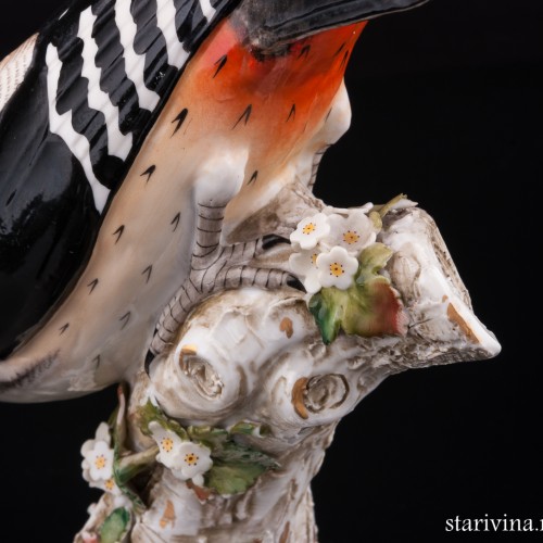 Пестрый дятел, Sitzendorf, Германия, 1887-1900 гг