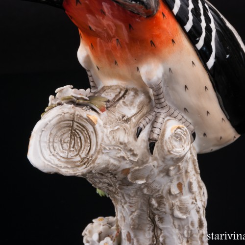 Пестрый дятел, Sitzendorf, Германия, 1887-1900 гг