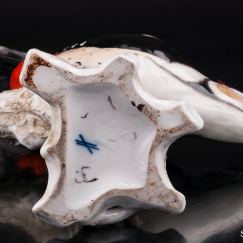 Пестрый дятел, Sitzendorf, Германия, 1887-1900 гг