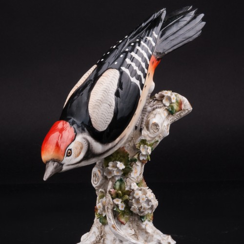 Пестрый дятел, Sitzendorf, Германия, 1887-1900 гг