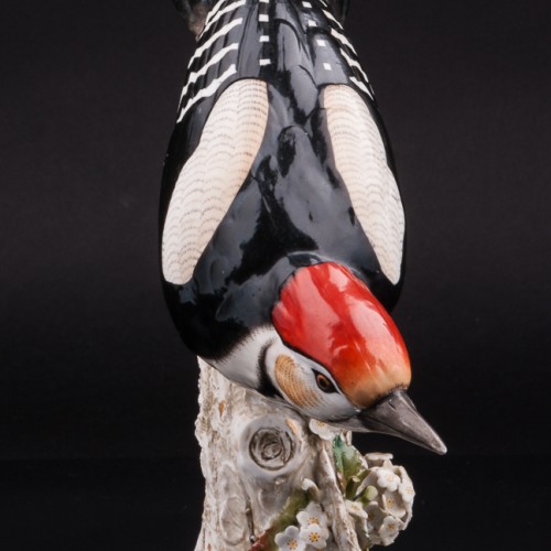 Пестрый дятел, Sitzendorf, Германия, 1887-1900 гг