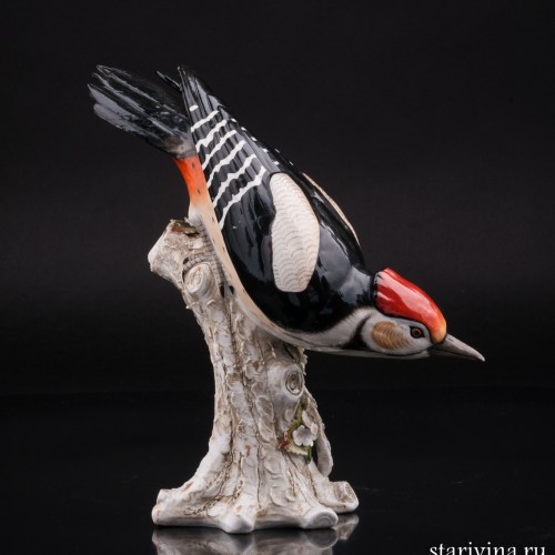 Пестрый дятел, Sitzendorf, Германия, 1887-1900 гг