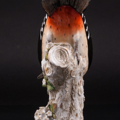 Пестрый дятел, Sitzendorf, Германия, 1887-1900 гг