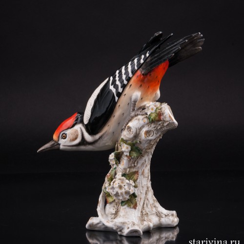 Пестрый дятел, Sitzendorf, Германия, 1887-1900 гг