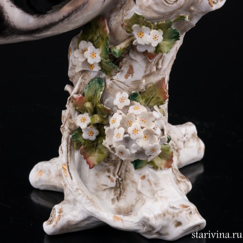 Пестрый дятел, Sitzendorf, Германия, 1887-1900 гг