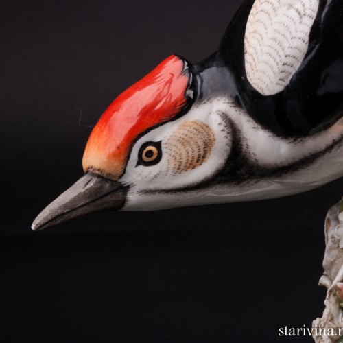 Пестрый дятел, Sitzendorf, Германия, 1887-1900 гг