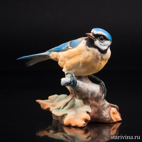 Синица-лазоревка, Tay, Италия, сер. 20 в