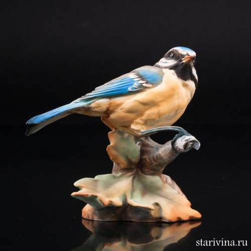 Синица-лазоревка, Tay, Италия, сер. 20 в