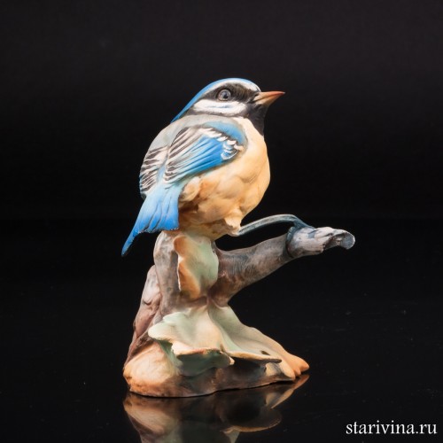 Синица-лазоревка, Tay, Италия, сер. 20 в