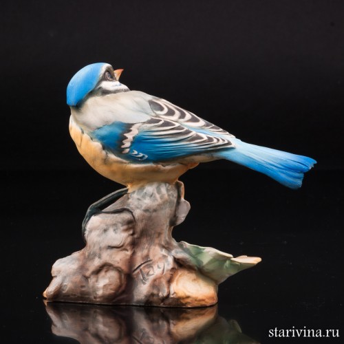 Синица-лазоревка, Tay, Италия, сер. 20 в