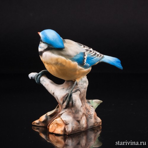 Синица-лазоревка, Tay, Италия, сер. 20 в